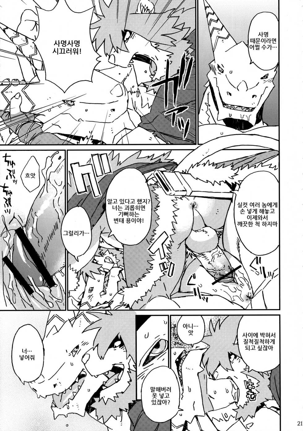 (C83) [Dragon Heart (Various)] TTWR! [Korean] - Page 20