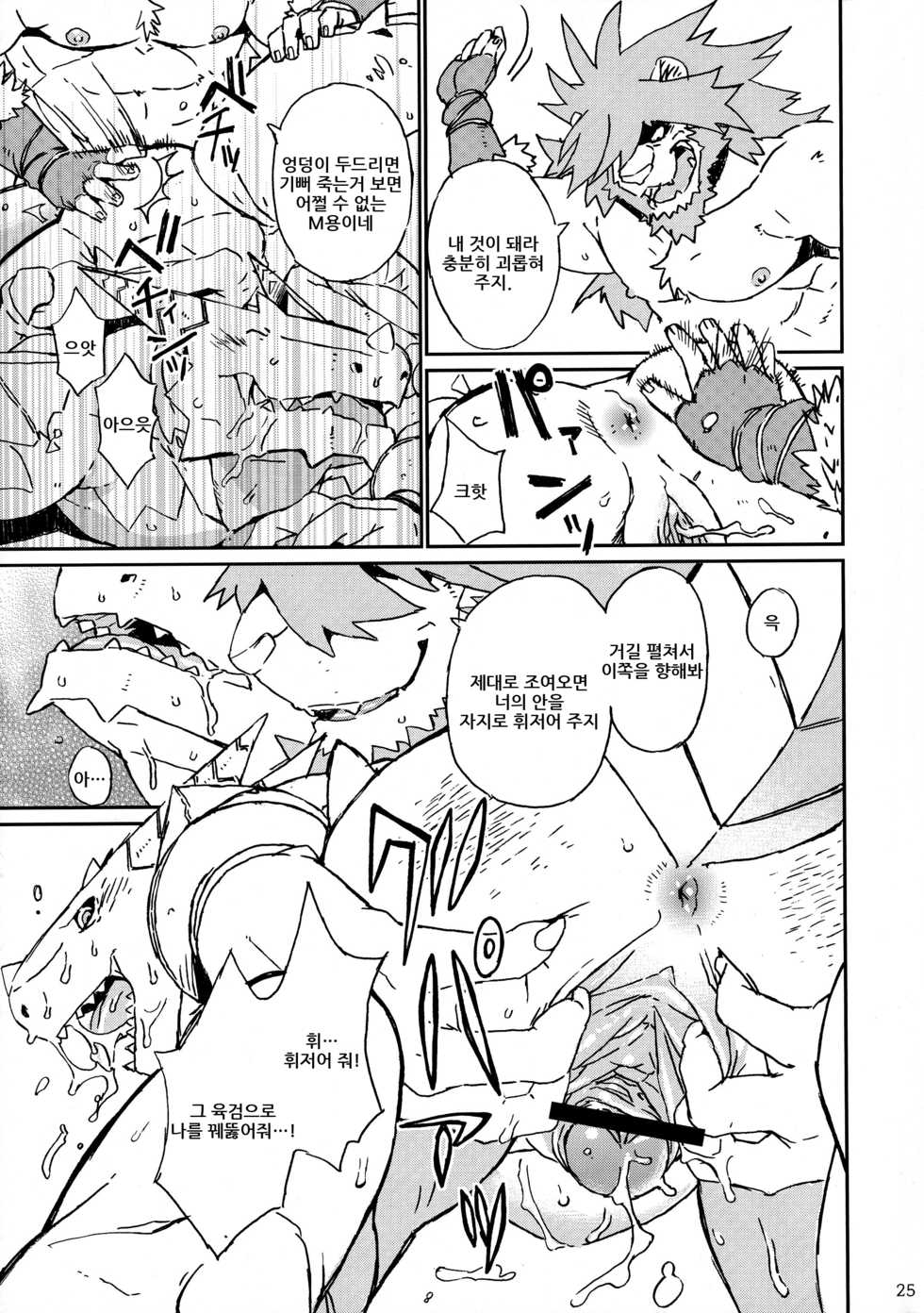 (C83) [Dragon Heart (Various)] TTWR! [Korean] - Page 24