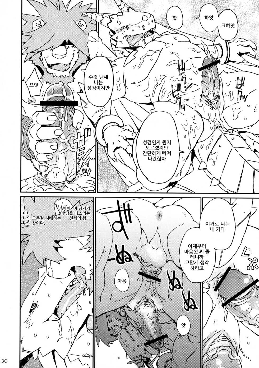 (C83) [Dragon Heart (Various)] TTWR! [Korean] - Page 29