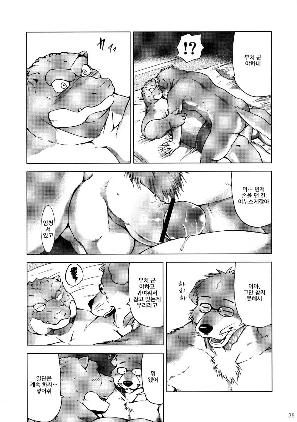 (C83) [Dragon Heart (Various)] TTWR! [Korean] - Page 34