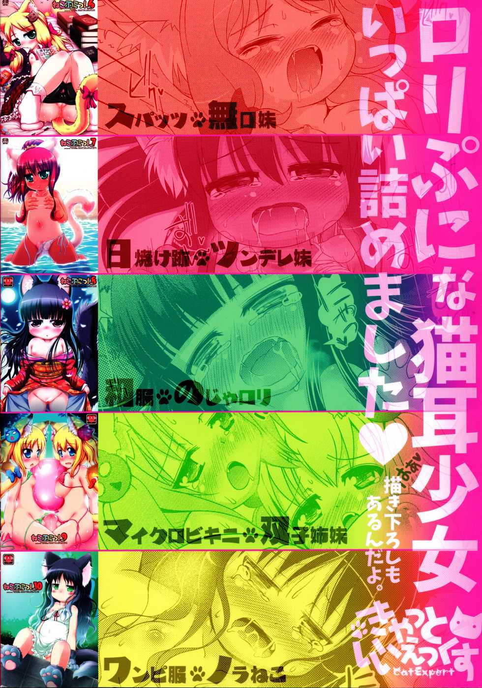 (C88) [cat expert (Nekousa)] Neko Puni! Remix 2 - Page 2