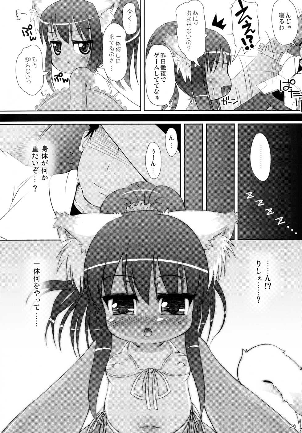 (C88) [cat expert (Nekousa)] Neko Puni! Remix 2 - Page 36