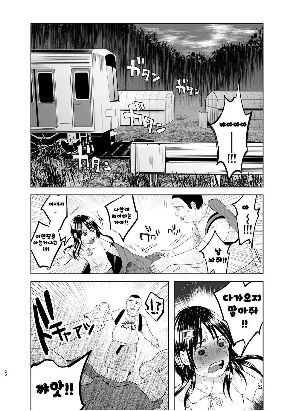 (C88) [Chemical Janky (Shiruka Bakaudon)] Uso mo Tsukanai Junsui na Sonzai | An Unlying, Genuine Existence [Korean] [레어 변태 강간마] - Page 20