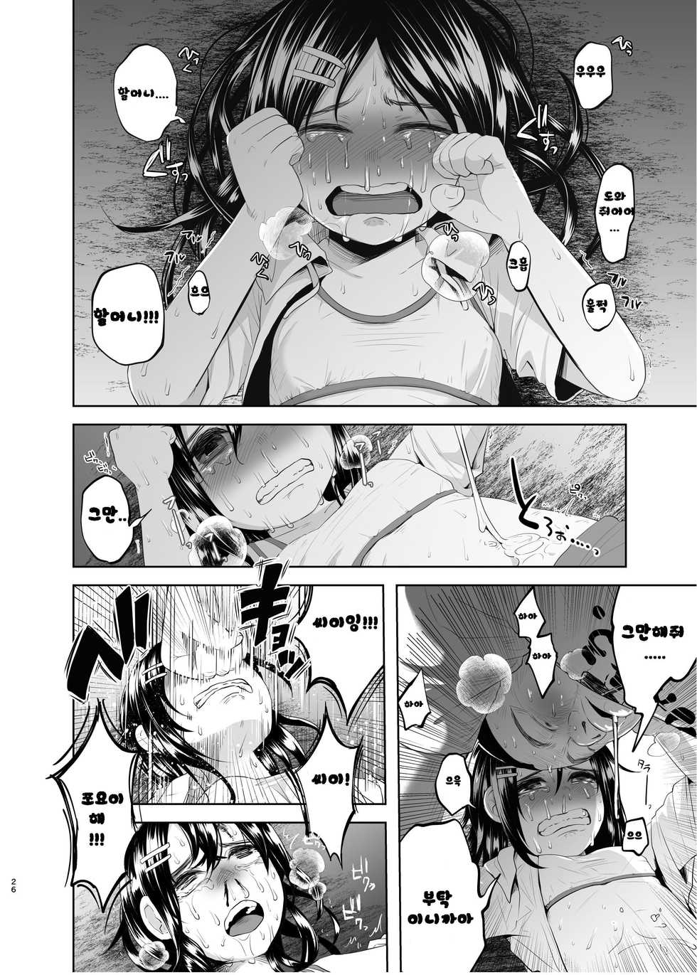 (C88) [Chemical Janky (Shiruka Bakaudon)] Uso mo Tsukanai Junsui na Sonzai | An Unlying, Genuine Existence [Korean] [레어 변태 강간마] - Page 24