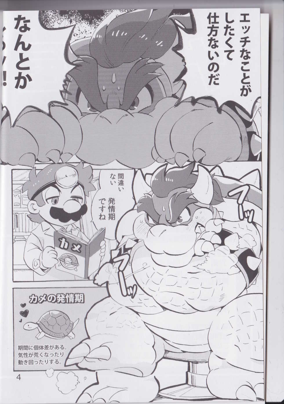 (ALLSTAR3) [Otohime 49-gou (Ichiboshi)] Gachi Heya (Super Smash Bros.) - Page 3