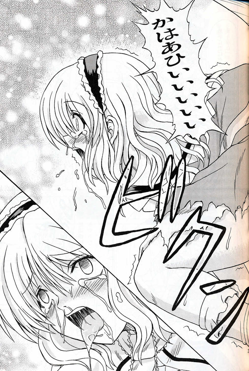 (C75) [Takakuya (Takaku Toshihiko)] Touhou Youjo Ranbu 9 (Touhou Project) - Page 20