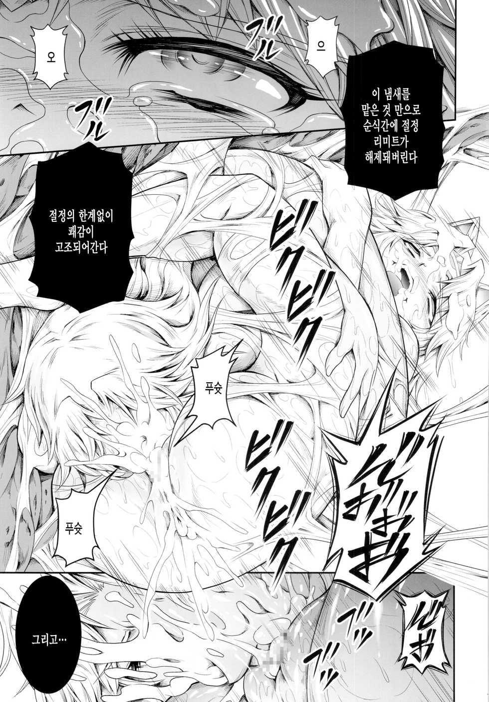 (C87) [Yokohama Junky (Makari Tohru)] Solo Hunter no Seitai 4 The Fourth Part (Monster Hunter) [Korean] [미쿠다요] - Page 13