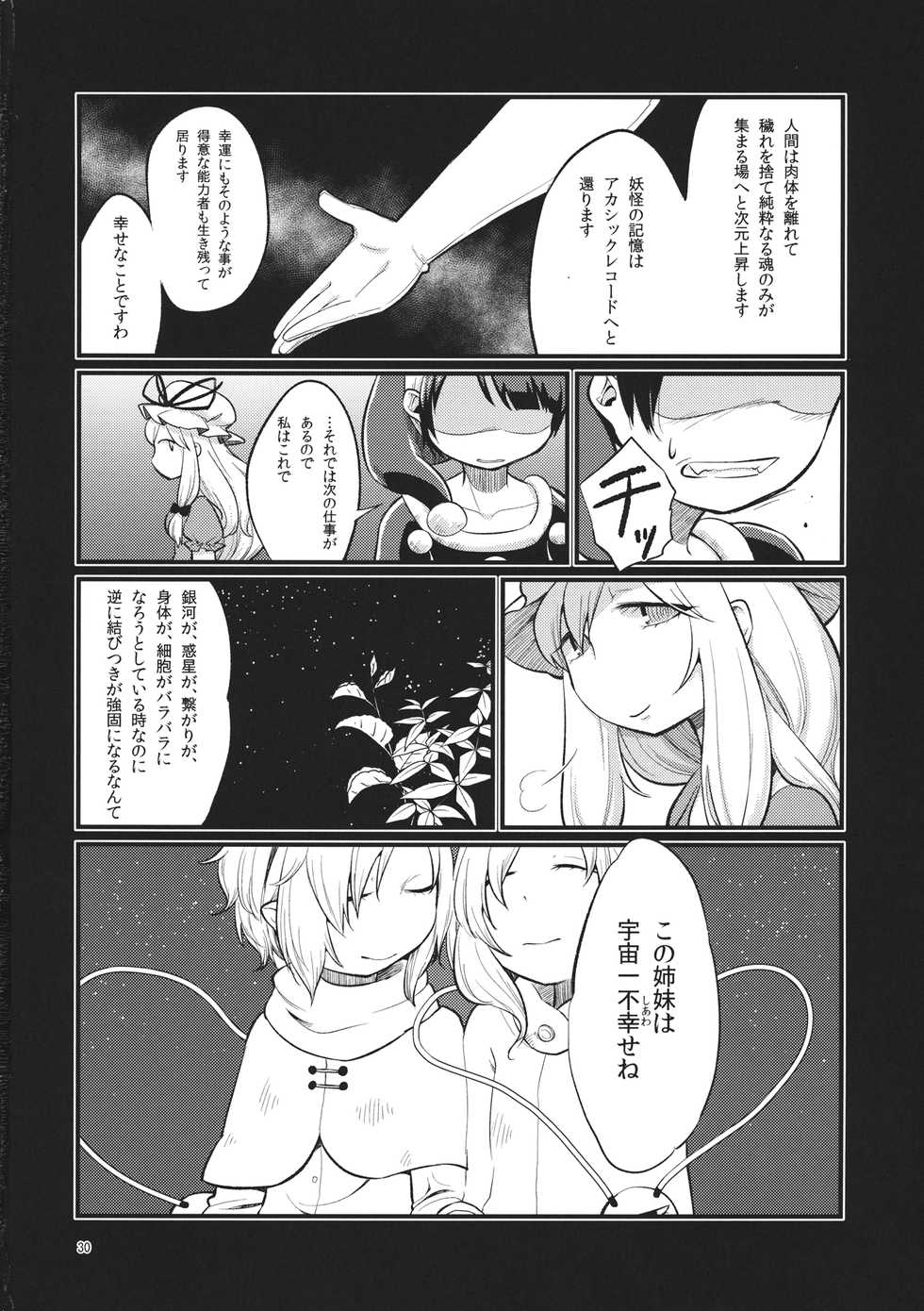 (C89) [tuiteyukenuyo (Zo)] Zettai Reido no Soup (Touhou Project) - Page 29