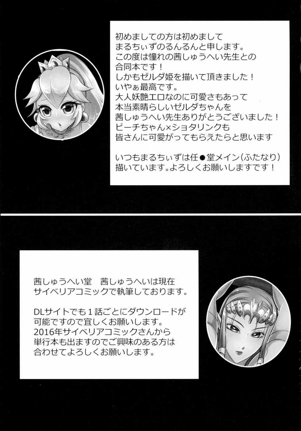 (C89) [Akane Shuuhei Dou, Maruchizu (Runrun, Akane Shuuhei)] Partner Trade (Legend of Zelda, Super Mario Brothers) - Page 15