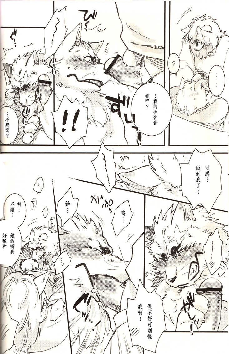 (Fur-st) [Hallucigenia (Kamidou Haruki)] Komorebi. (Gingitsune) [Chinese] [曉糕個人漢化] - Page 13
