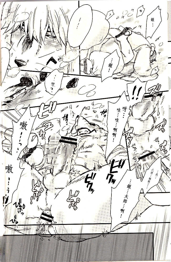 (Fur-st) [Hallucigenia (Kamidou Haruki)] Komorebi. (Gingitsune) [Chinese] [曉糕個人漢化] - Page 19