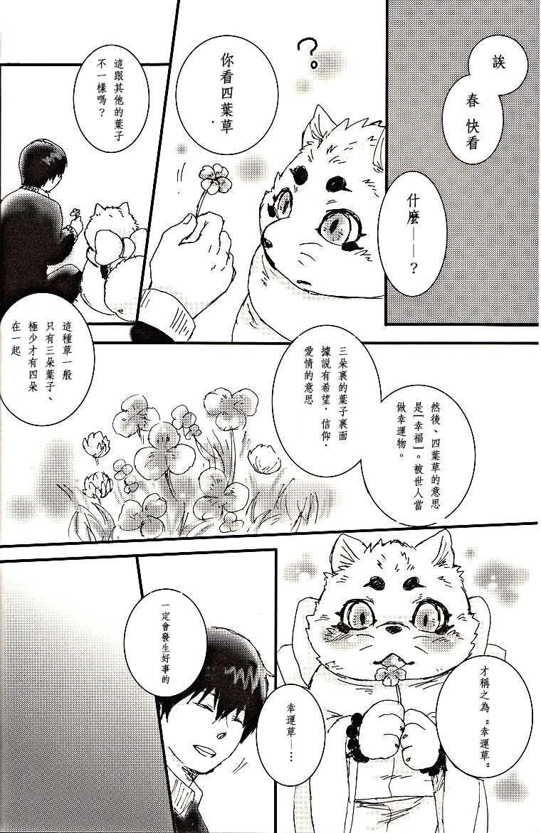 (Fur-st) [Hallucigenia (Kamidou Haruki)] Komorebi. (Gingitsune) [Chinese] [曉糕個人漢化] - Page 25