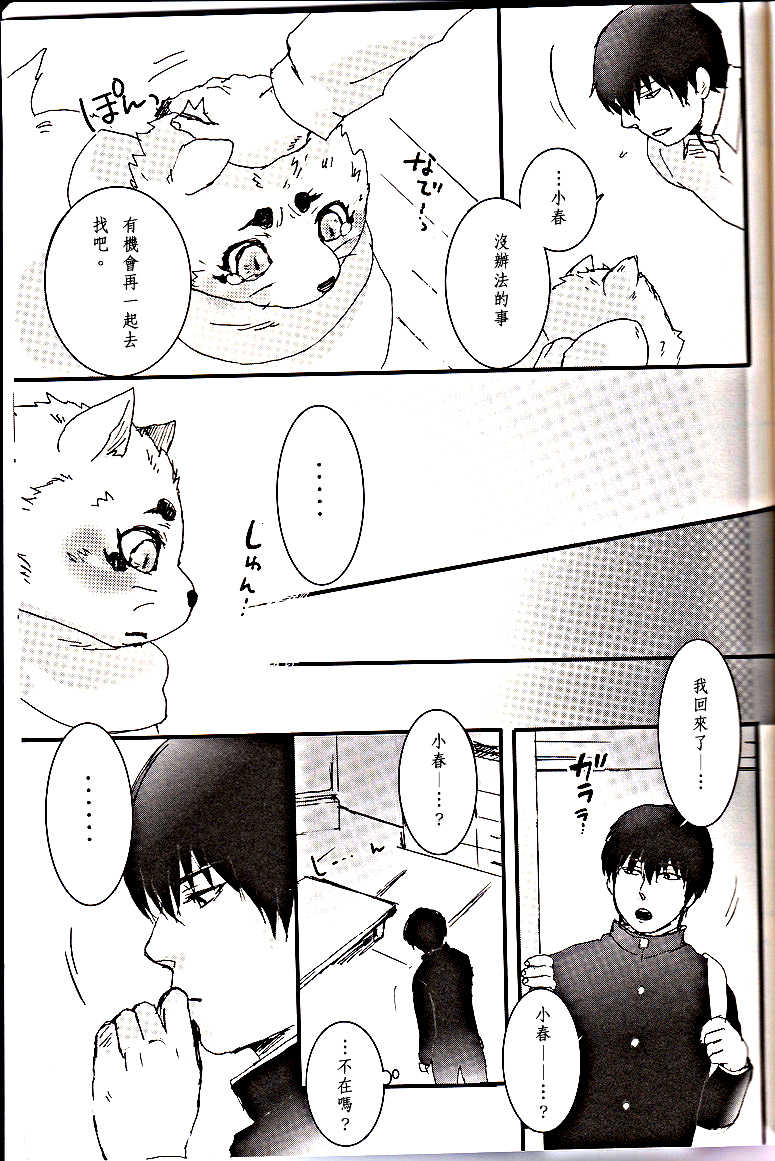 (Fur-st) [Hallucigenia (Kamidou Haruki)] Komorebi. (Gingitsune) [Chinese] [曉糕個人漢化] - Page 28