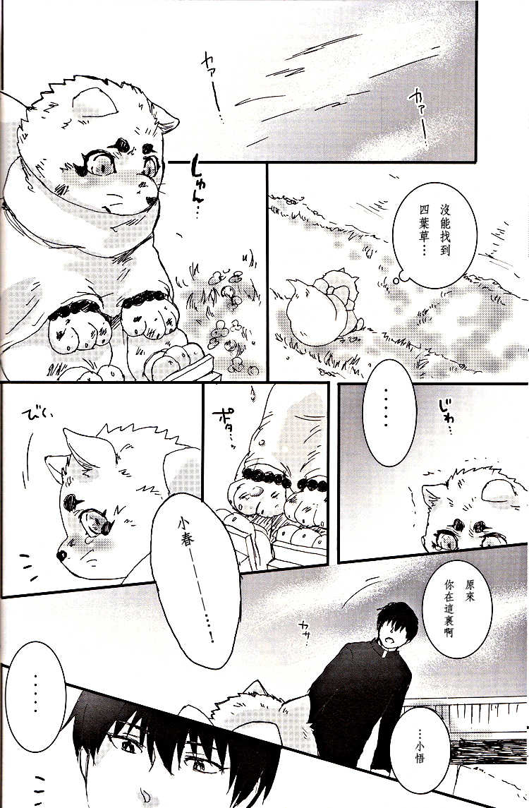 (Fur-st) [Hallucigenia (Kamidou Haruki)] Komorebi. (Gingitsune) [Chinese] [曉糕個人漢化] - Page 29