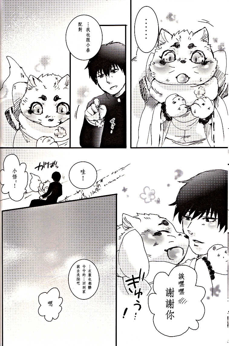 (Fur-st) [Hallucigenia (Kamidou Haruki)] Komorebi. (Gingitsune) [Chinese] [曉糕個人漢化] - Page 31