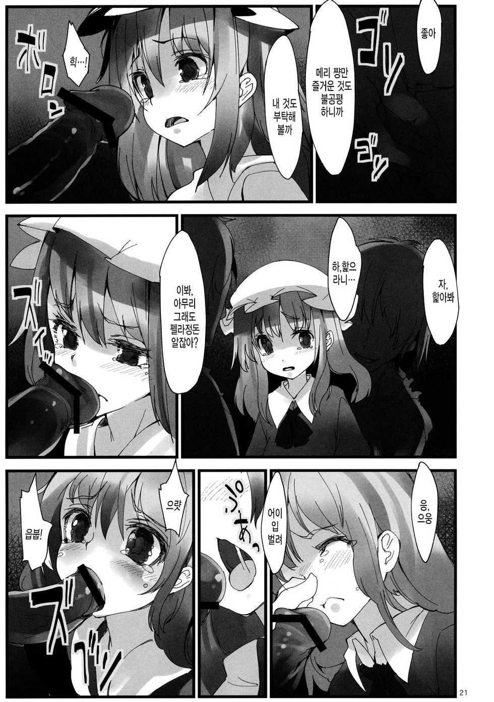 (C82) [Gokusaishiki, U.M.E.Project (Aya Shachou, ukyo_rst)] Girls In The Dark (Touhou Project) [Korean] [미쿠다요] - Page 22