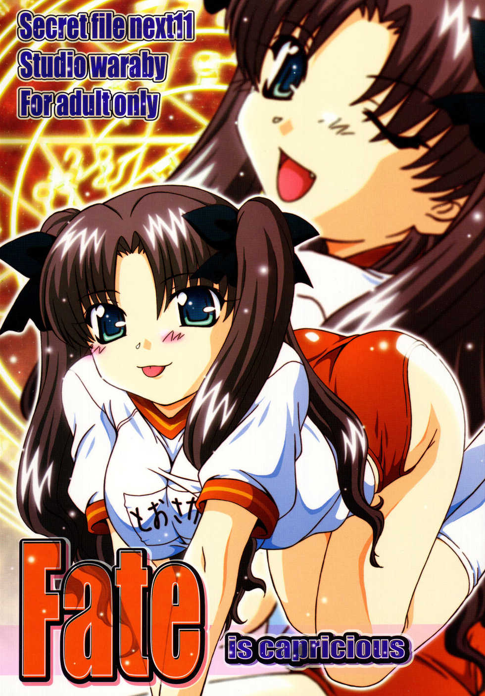 (C67) [Studio Wallaby (Takana Yu-ki)] SECRET FILE NEXT 11 - Fate is capricious (Fate/stay night) [English] [CGrascal] - Page 1
