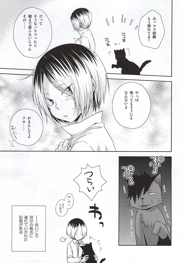 (RTS!!5) [MOBRIS (Tomoharu)] Neko Otoko Ichizoku no Koubi Report (Haikyuu!!) - Page 4