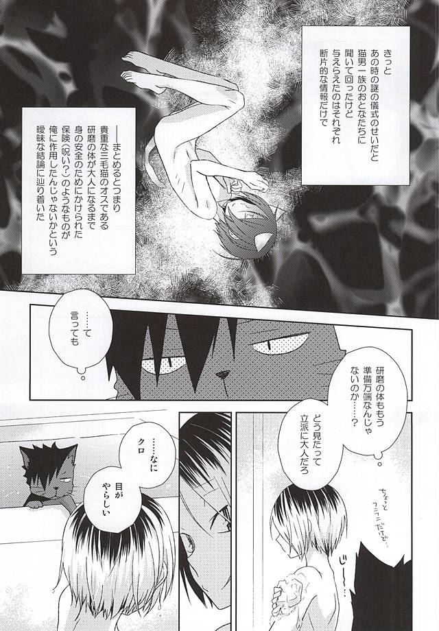 (RTS!!5) [MOBRIS (Tomoharu)] Neko Otoko Ichizoku no Koubi Report (Haikyuu!!) - Page 6