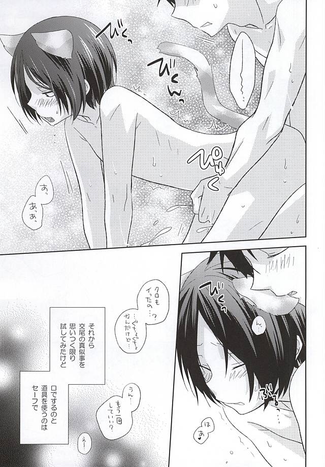 (RTS!!5) [MOBRIS (Tomoharu)] Neko Otoko Ichizoku no Koubi Report (Haikyuu!!) - Page 14