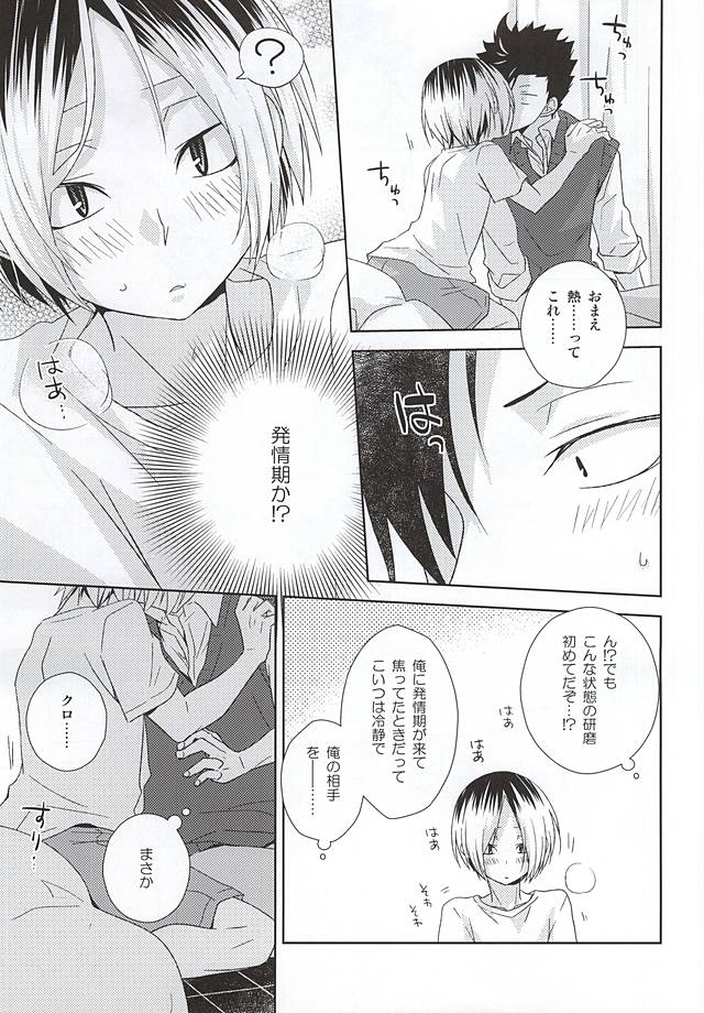 (RTS!!5) [MOBRIS (Tomoharu)] Neko Otoko Ichizoku no Koubi Report (Haikyuu!!) - Page 22