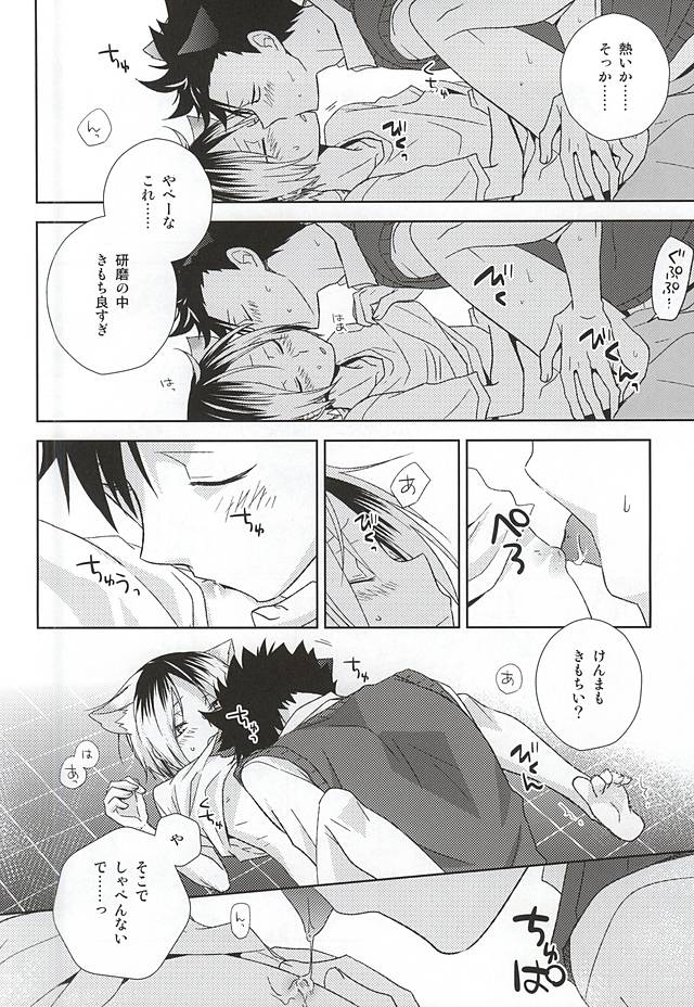 (RTS!!5) [MOBRIS (Tomoharu)] Neko Otoko Ichizoku no Koubi Report (Haikyuu!!) - Page 35