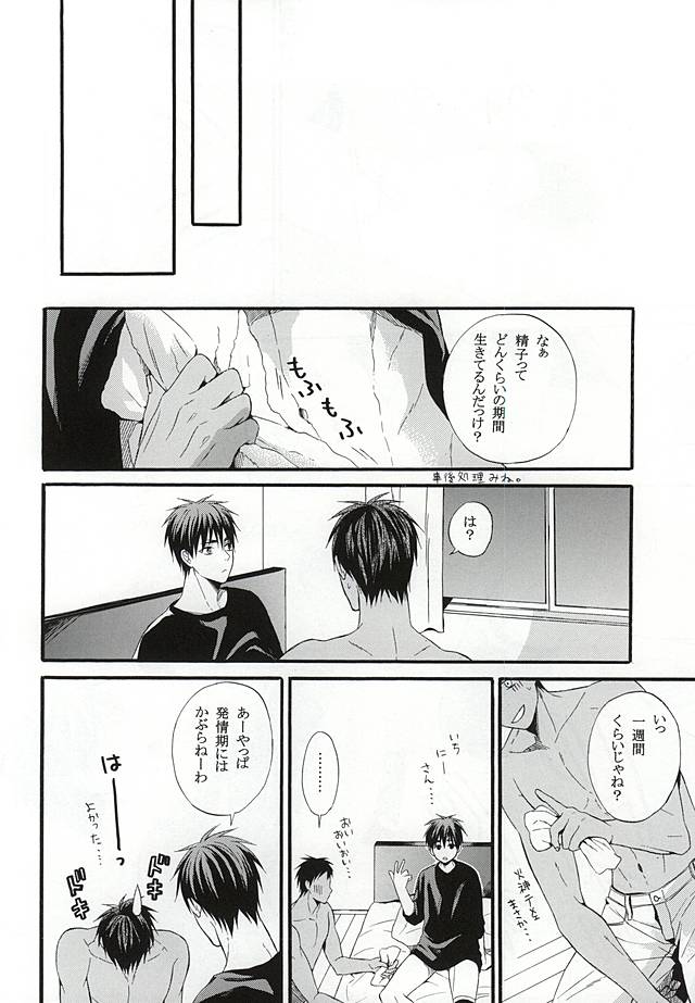 (AK ZONE -extra game-) [sweetberry (Hoshino Rumia)] Campanule no Yuuutsu (Kuroko no Basuke) - Page 35