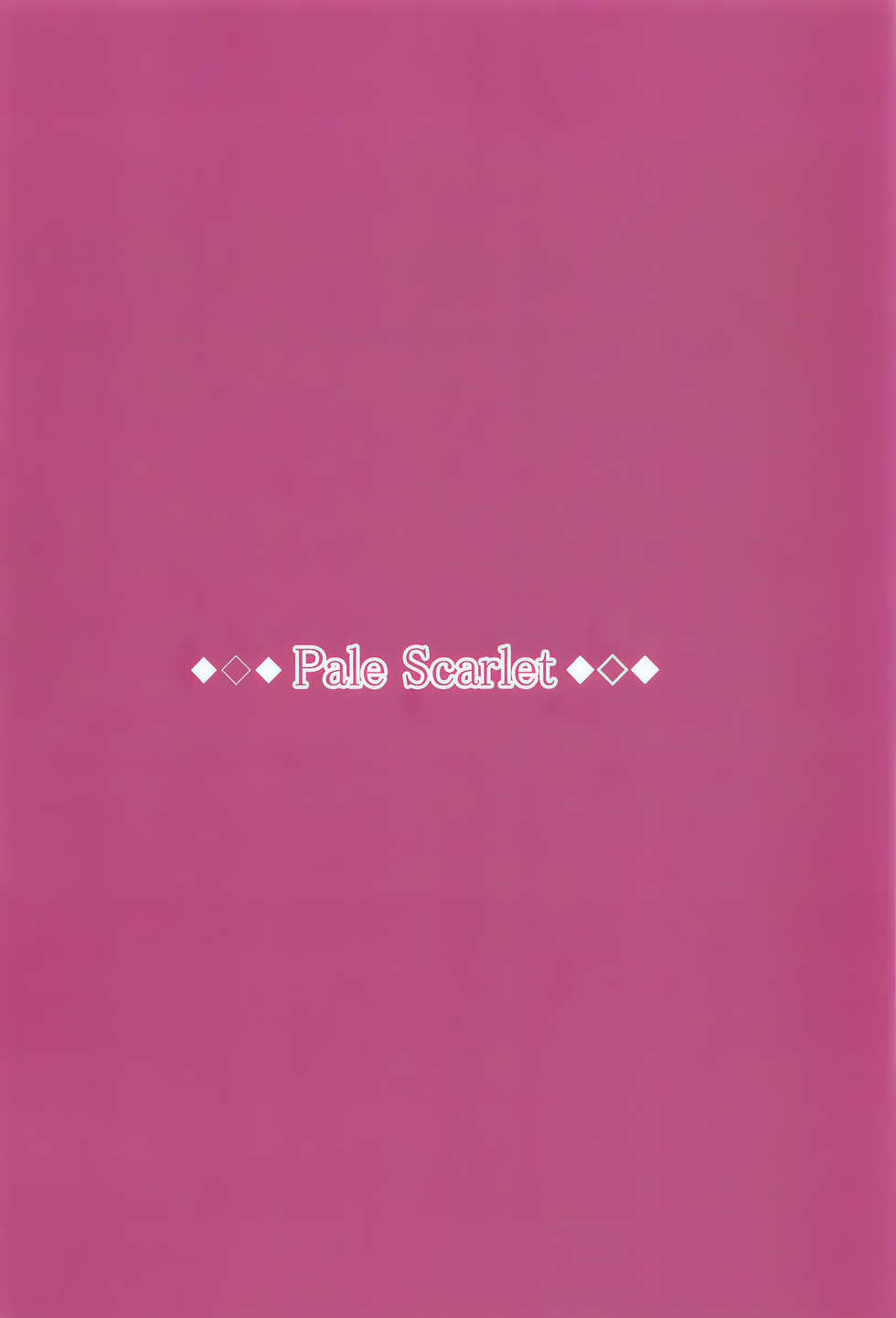 (C89) [Pale Scarlet (Matsukawa)] Fascinate Nail (Granblue Fantasy) [Chinese] [无毒汉化组] - Page 24