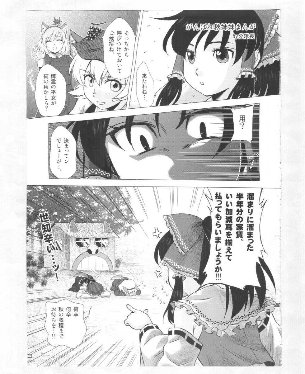 (C88) [Kitsunenomori (Various)] Touhou PLUMFUR 4 (Touhou Project) - Page 2