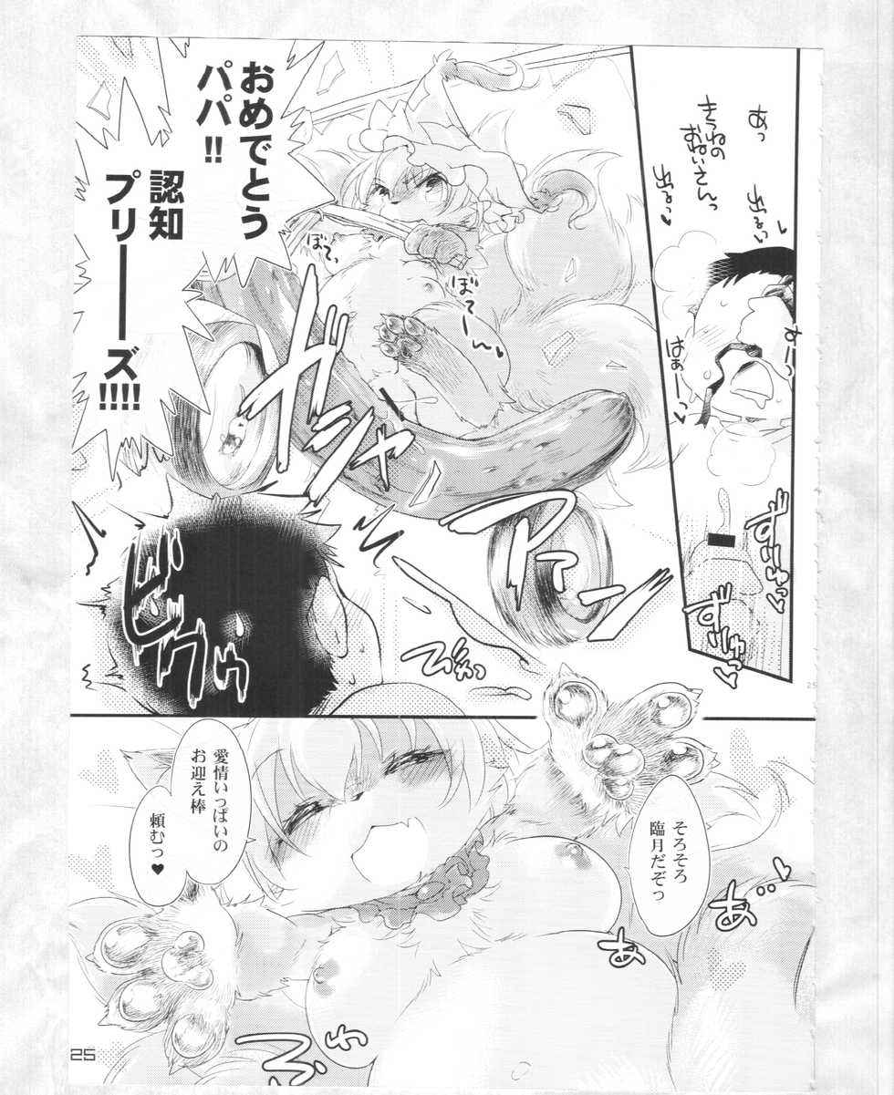 (C88) [Kitsunenomori (Various)] Touhou PLUMFUR 4 (Touhou Project) - Page 24