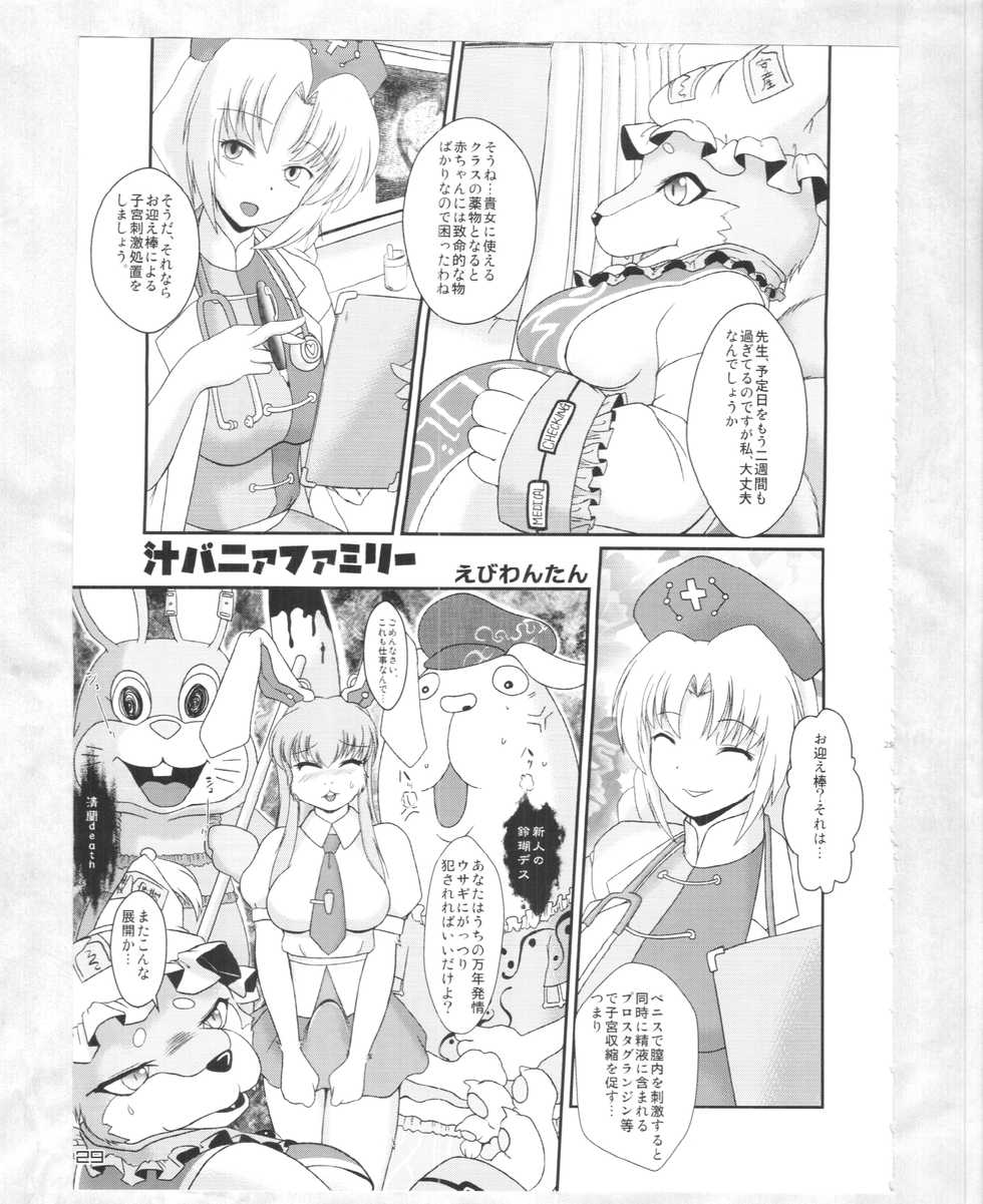 (C88) [Kitsunenomori (Various)] Touhou PLUMFUR 4 (Touhou Project) - Page 28