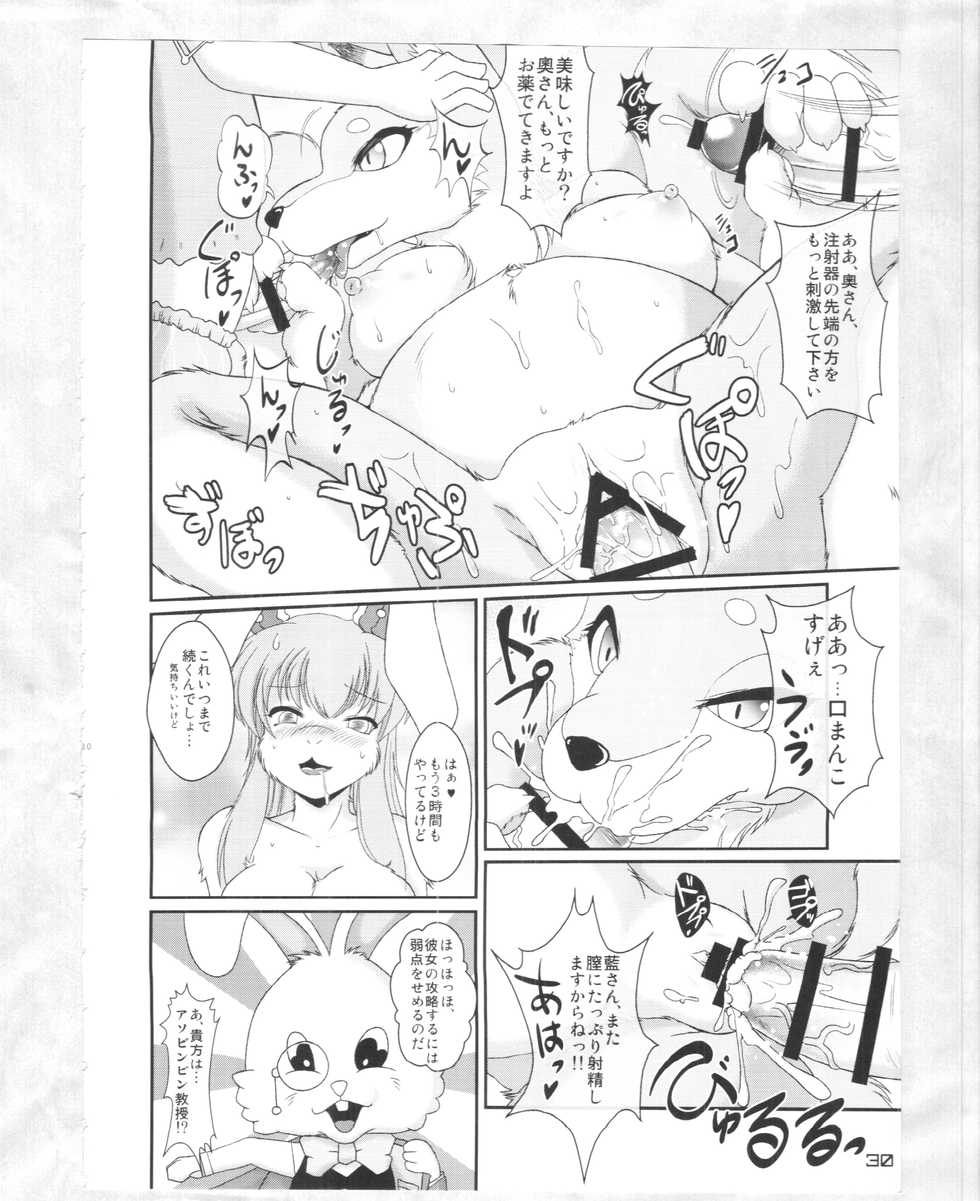 (C88) [Kitsunenomori (Various)] Touhou PLUMFUR 4 (Touhou Project) - Page 29