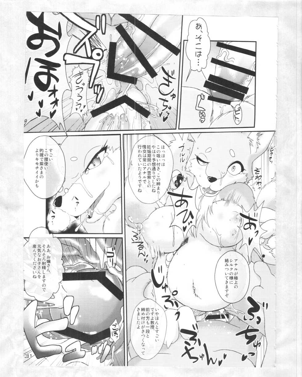 (C88) [Kitsunenomori (Various)] Touhou PLUMFUR 4 (Touhou Project) - Page 30