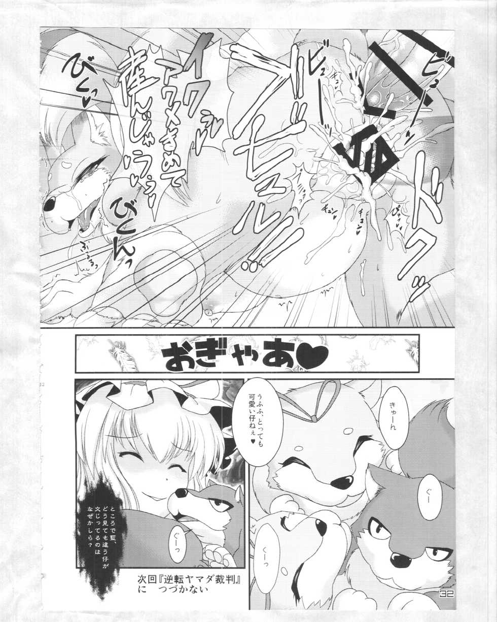 (C88) [Kitsunenomori (Various)] Touhou PLUMFUR 4 (Touhou Project) - Page 31