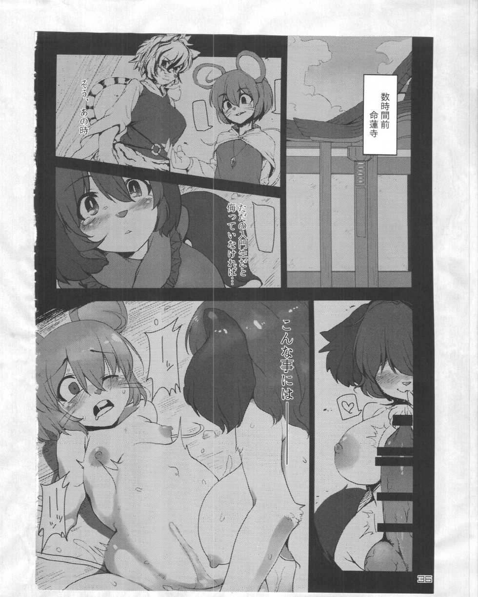 (C88) [Kitsunenomori (Various)] Touhou PLUMFUR 4 (Touhou Project) - Page 35