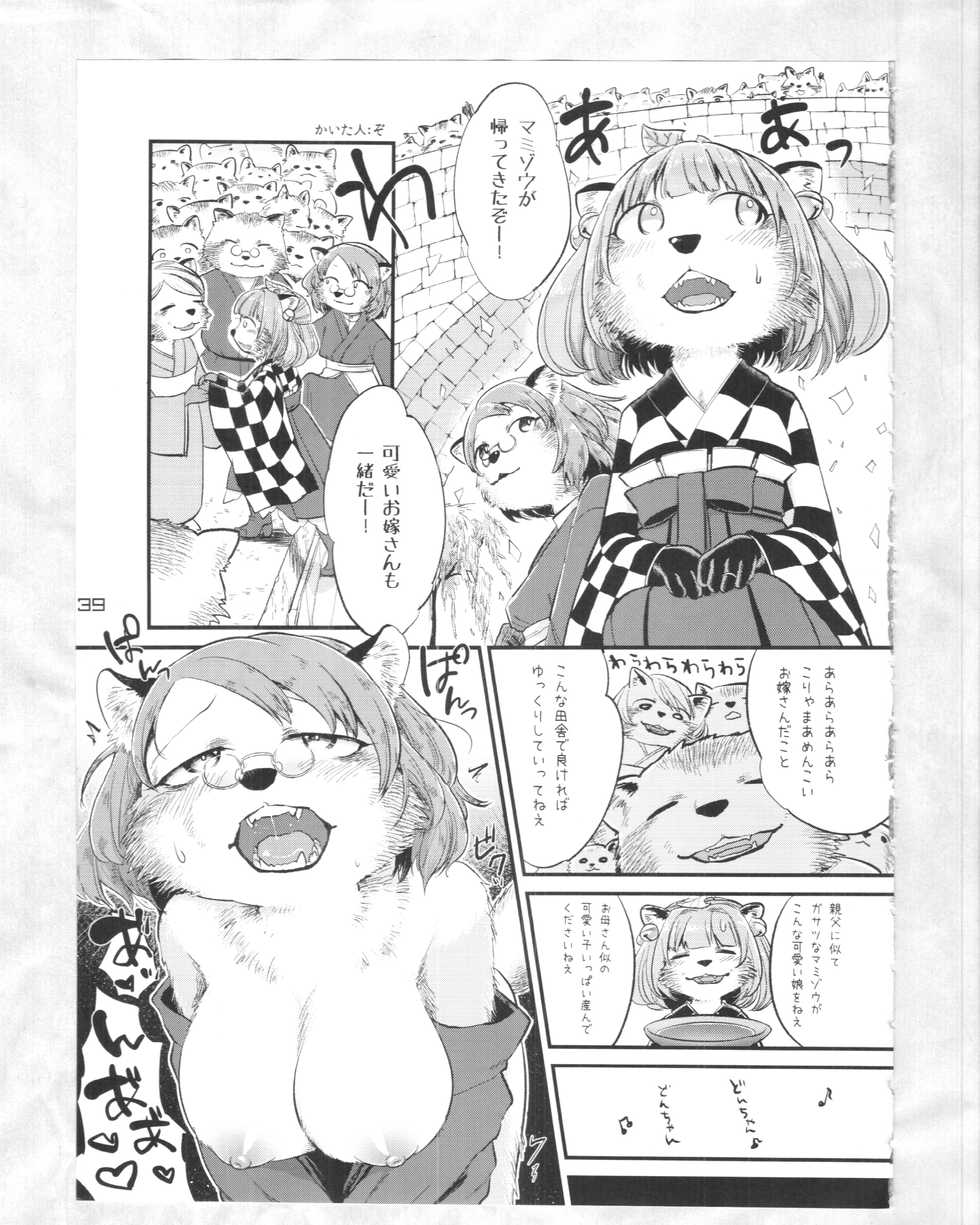 (C88) [Kitsunenomori (Various)] Touhou PLUMFUR 4 (Touhou Project) - Page 38