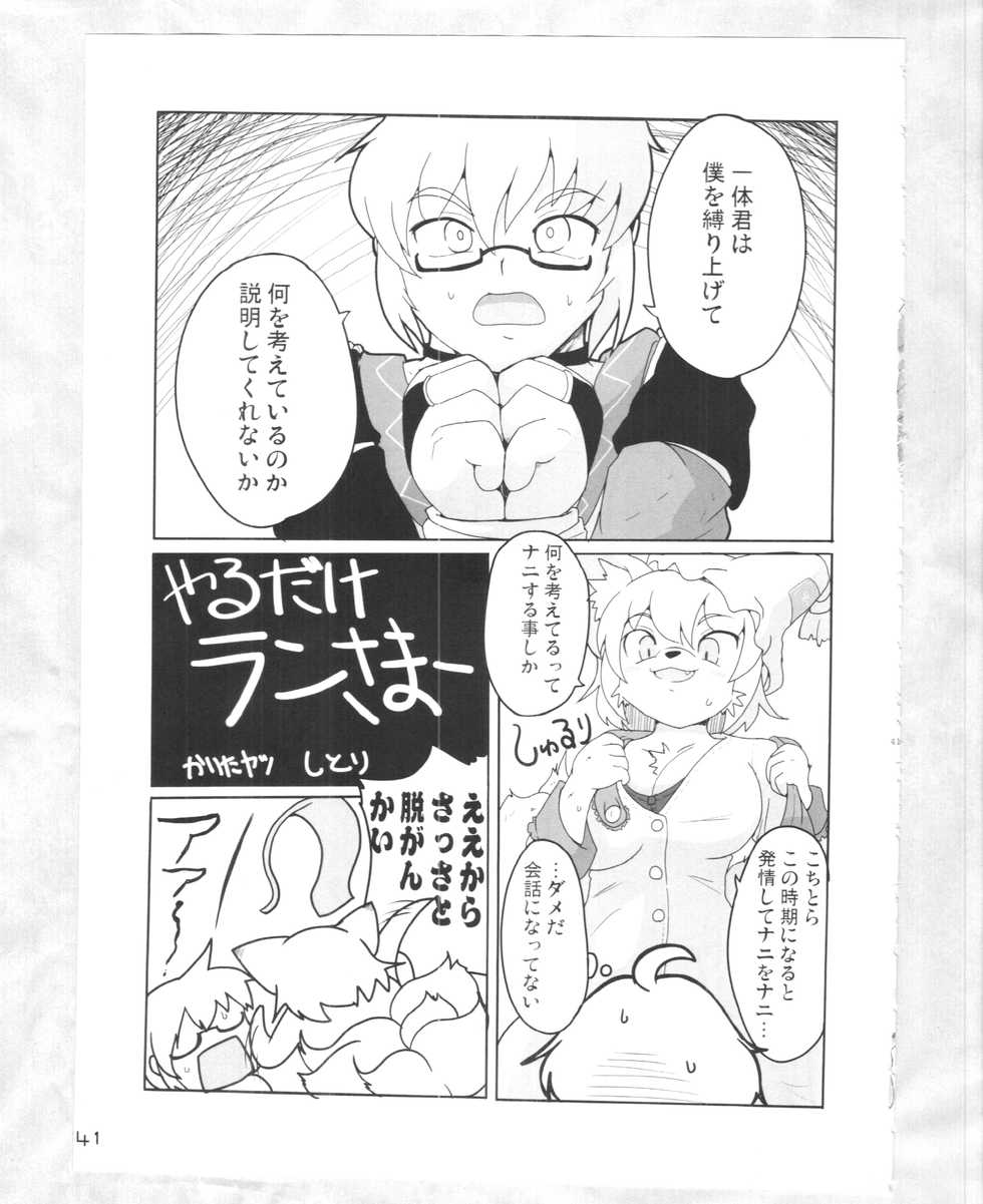 (C88) [Kitsunenomori (Various)] Touhou PLUMFUR 4 (Touhou Project) - Page 40
