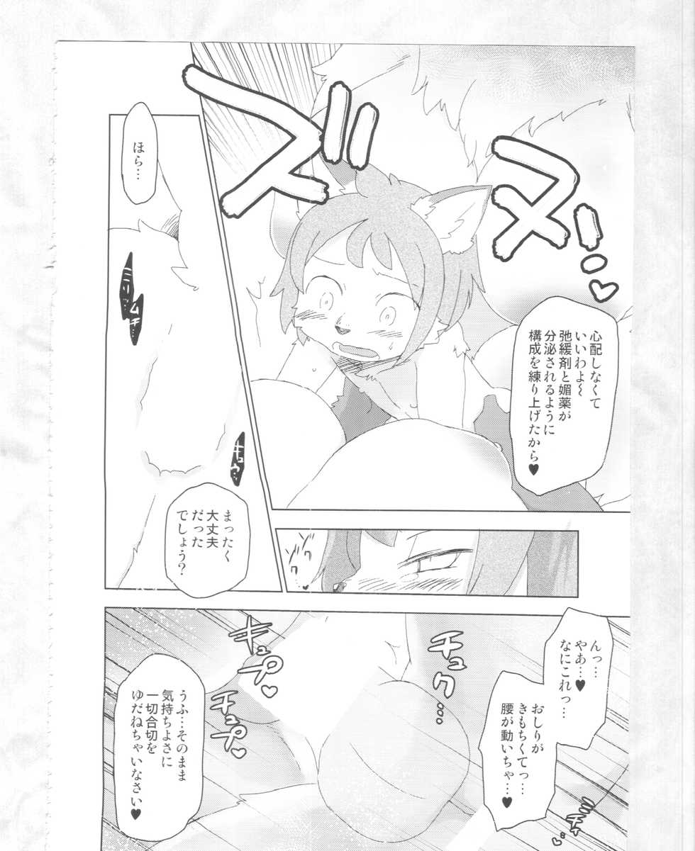 (C89) [Nininini (DANGAN, kyuuri)] Kaze yo. Kitsune ni Todoite iru ka (ConConCollector(Katte Edition)) - Page 14