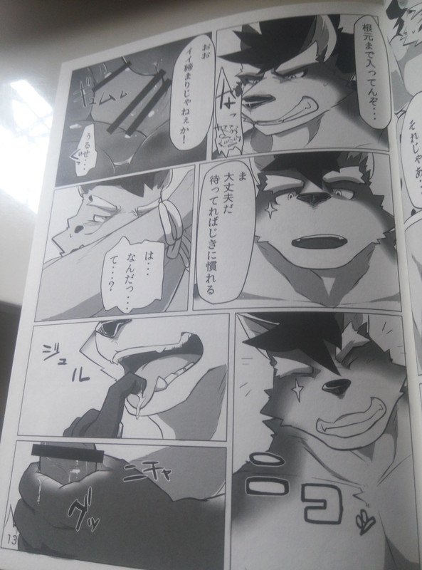 (Kemoket 4) [Beats Beasts Fellas (Various)] Hatashiai Musashi-den - Page 12