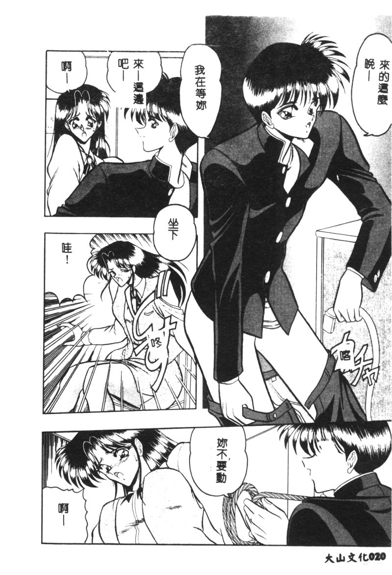 [Towai Raito] Dorei Yuugi [Chinese] - Page 20