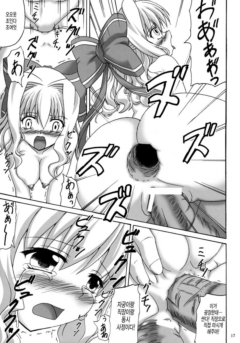 (ComiComi11) [Nejimaki Kougen (Kirisawa Tokito)] Shiawase no Mahoutsukai (D.C. Da Capo) [Korean] [미쿠다요] - Page 17
