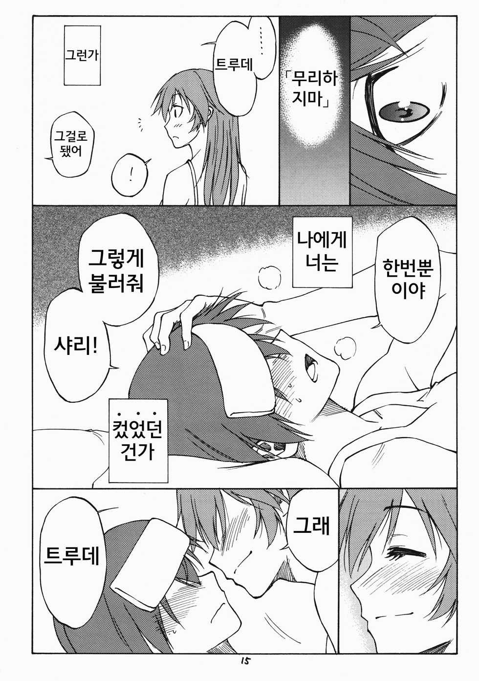 (C80) [real (As-Special)] MAXIMUM (Strike Witches) [Korean] - Page 15