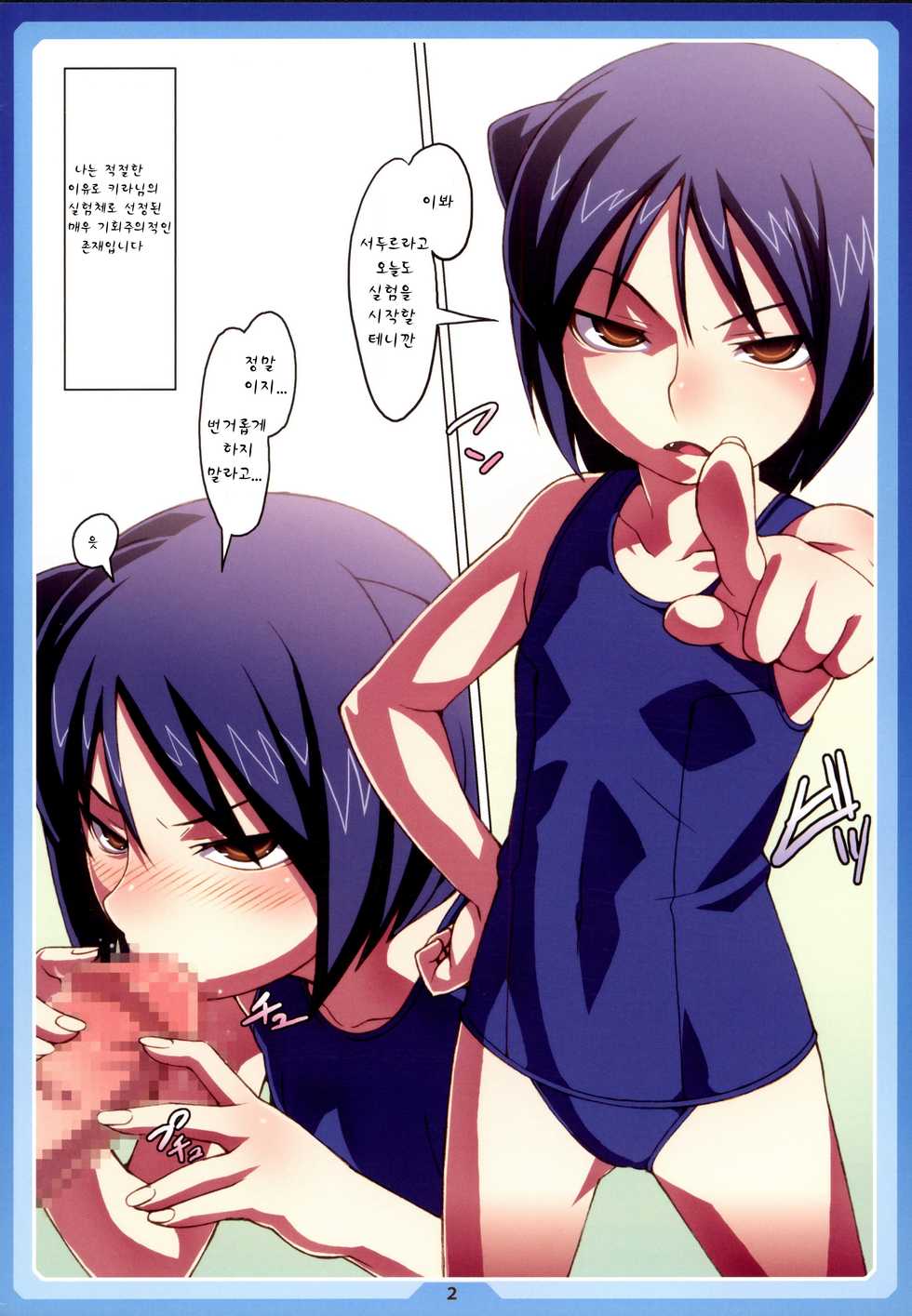 (C76) [LongHornTrain (CyoCyo)] [XI] Kakko Elf ver-K (Arcana Heart) [Korean] [lwnd] - Page 2
