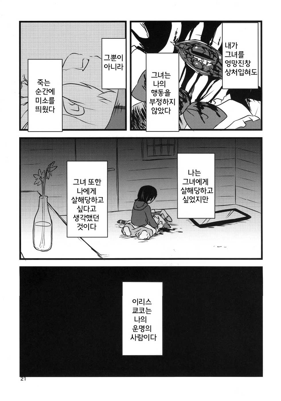 (C86) [02 (Harasaki)] Yume de Aimashou! (Irisu Syndrome!) [Korean] [Team PeroPero] - Page 21
