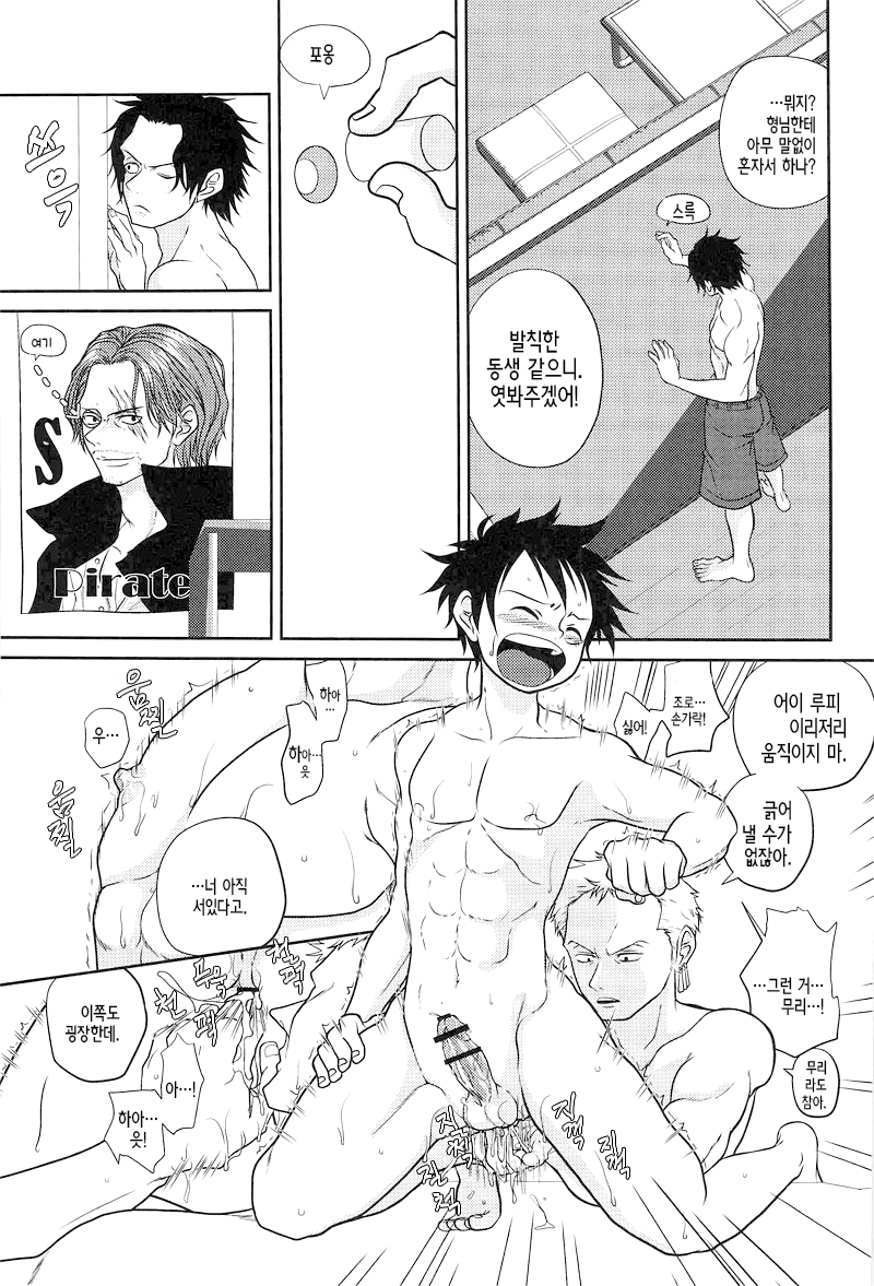 (C78) [Reindeer (senbu)] STARGAZER (One Piece) [Korean] - Page 6