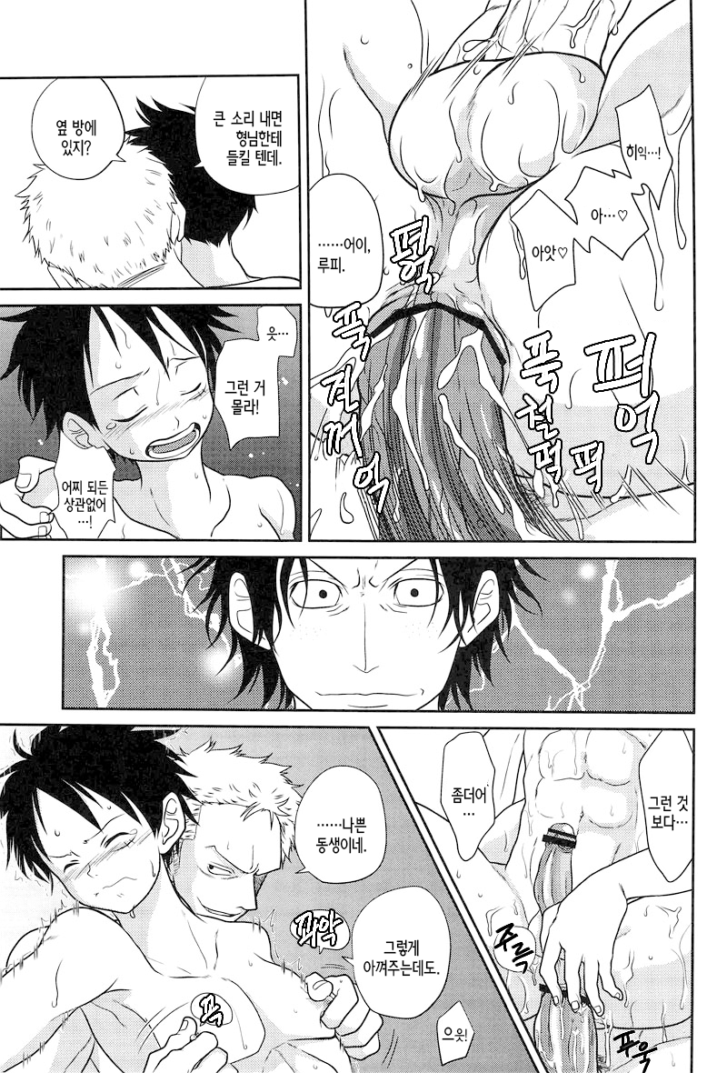 (C78) [Reindeer (senbu)] STARGAZER (One Piece) [Korean] - Page 8