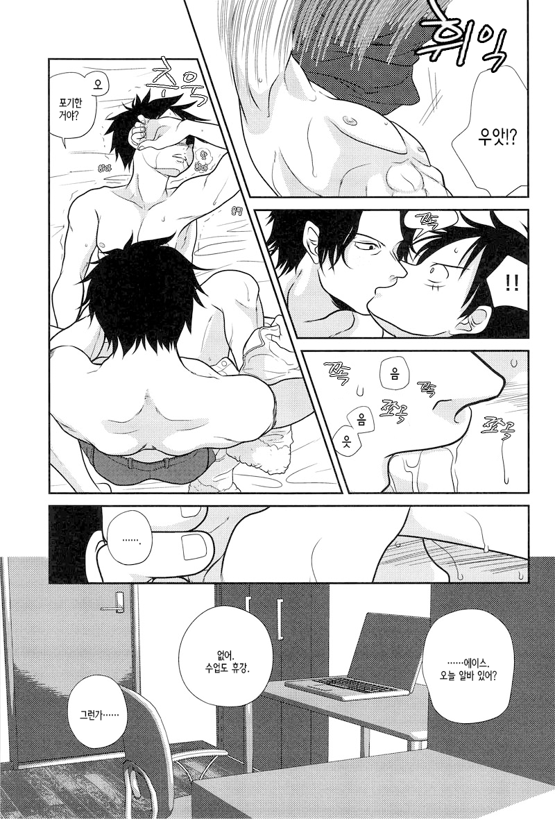 (C78) [Reindeer (senbu)] STARGAZER (One Piece) [Korean] - Page 16