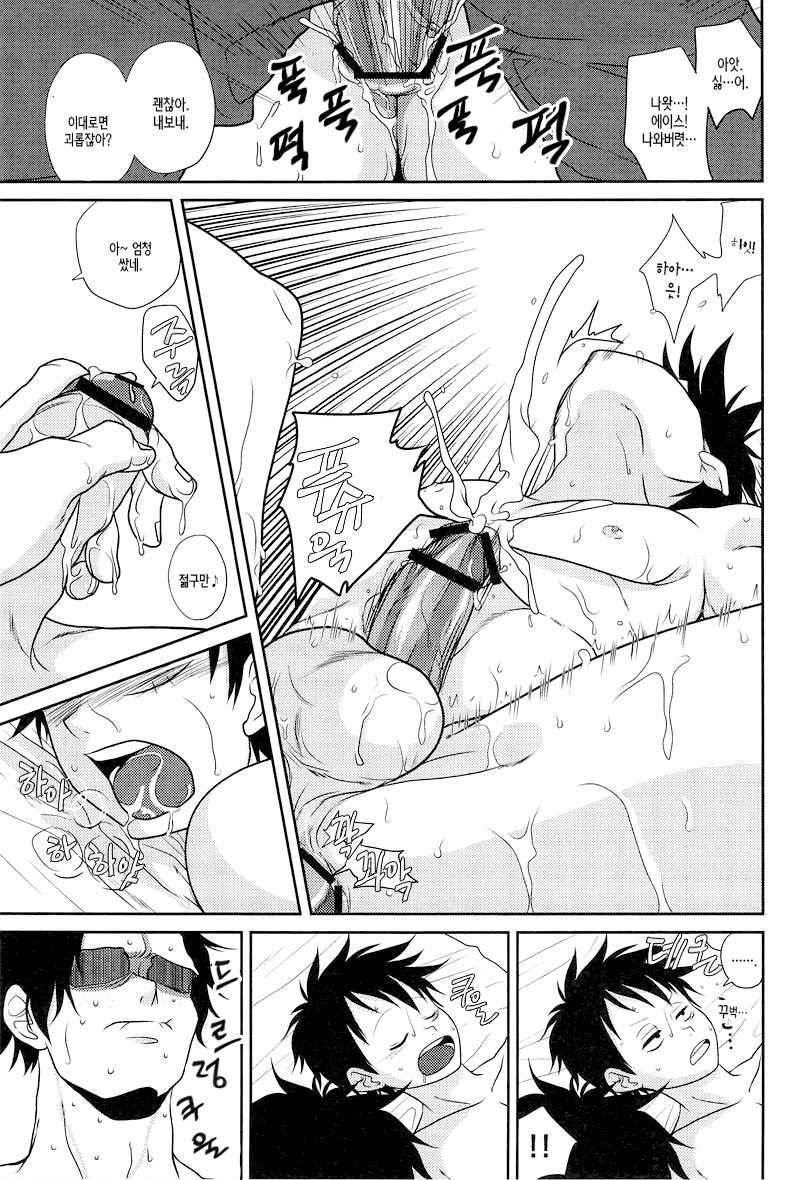 (C78) [Reindeer (senbu)] STARGAZER (One Piece) [Korean] - Page 20