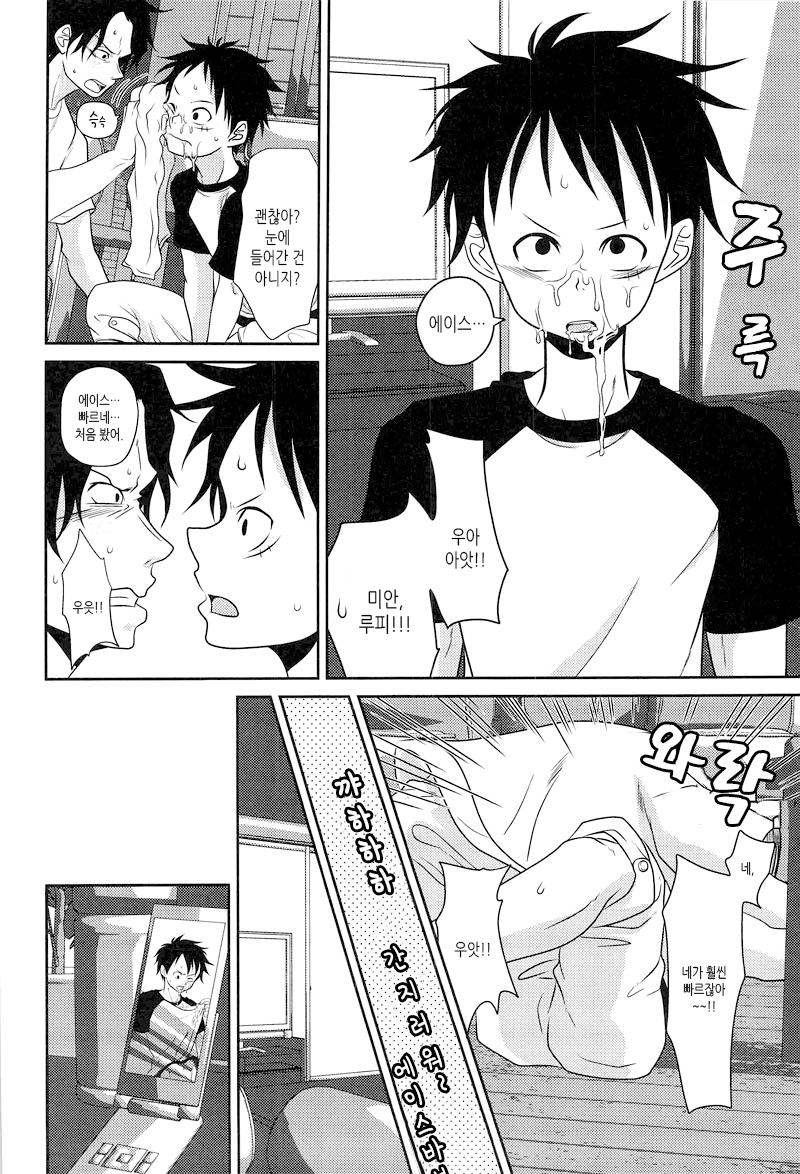 (C78) [Reindeer (senbu)] STARGAZER (One Piece) [Korean] - Page 29