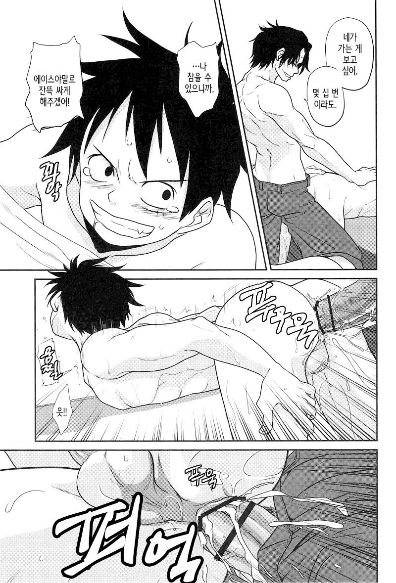 (C78) [Reindeer (senbu)] STARGAZER (One Piece) [Korean] - Page 33